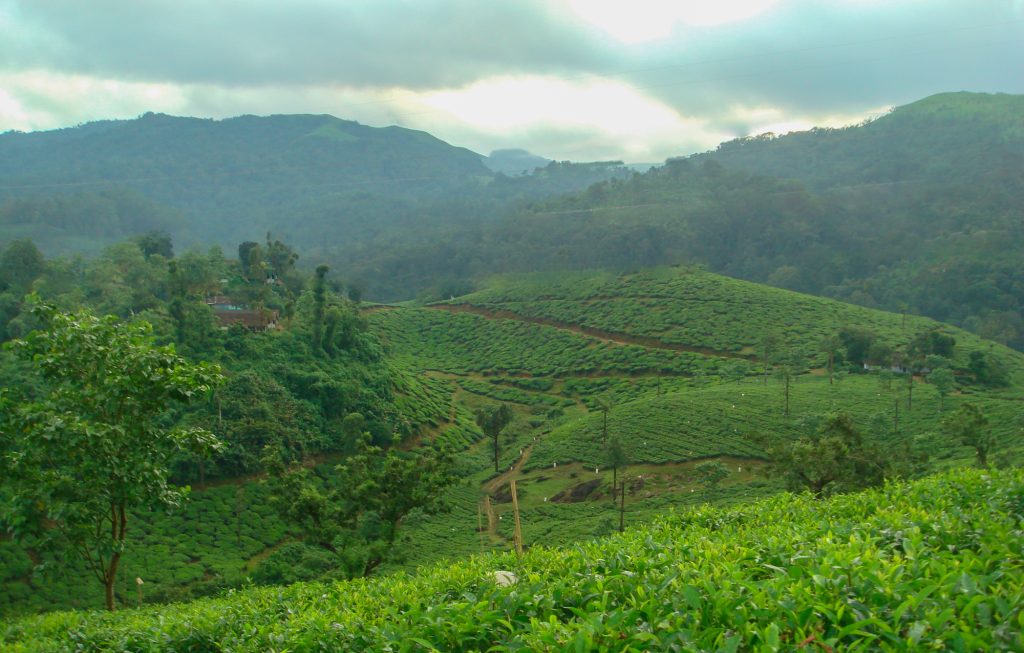 pozhuthana wayanad