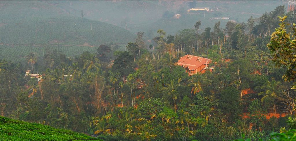 tea forest resort wayanad